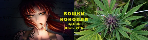 круглые Корсаков