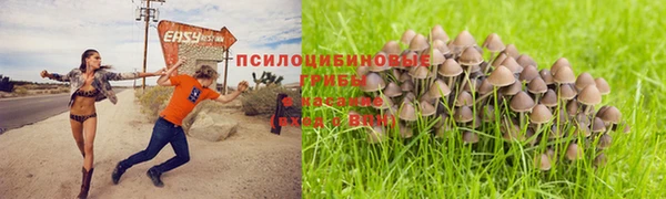 ALPHA PVP Коряжма
